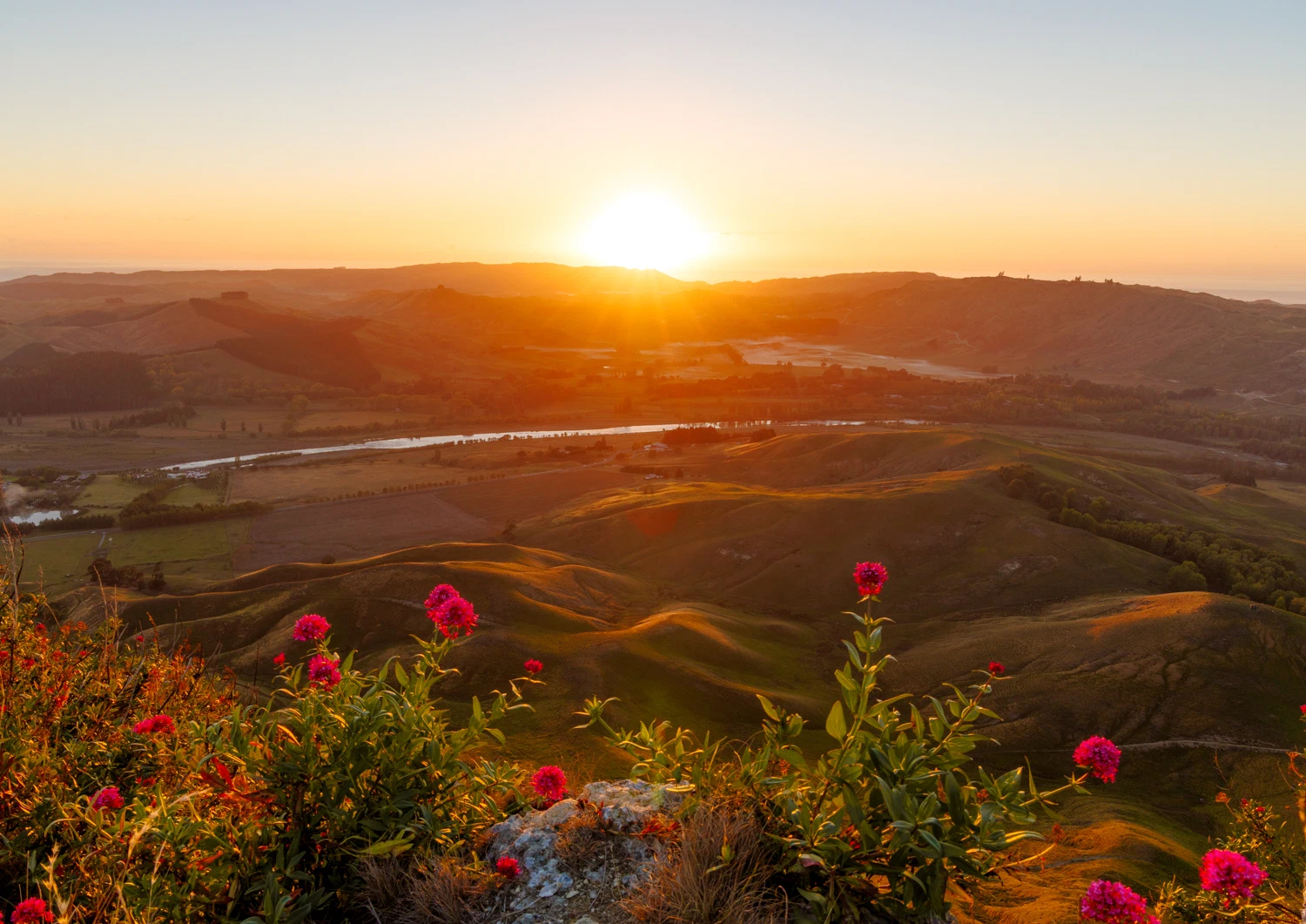 Te Mata Peak 1
