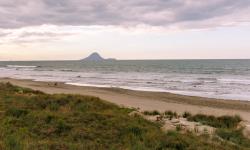 Featured image of post Ohope February 2026