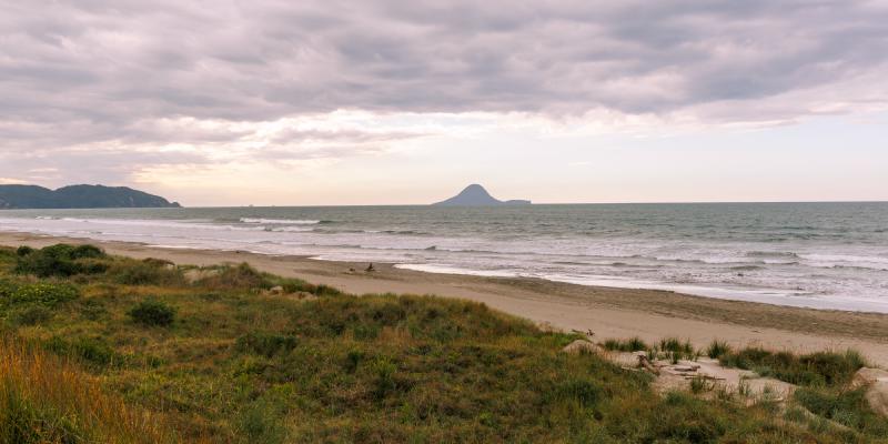 Featured image of post Ohope February 2026