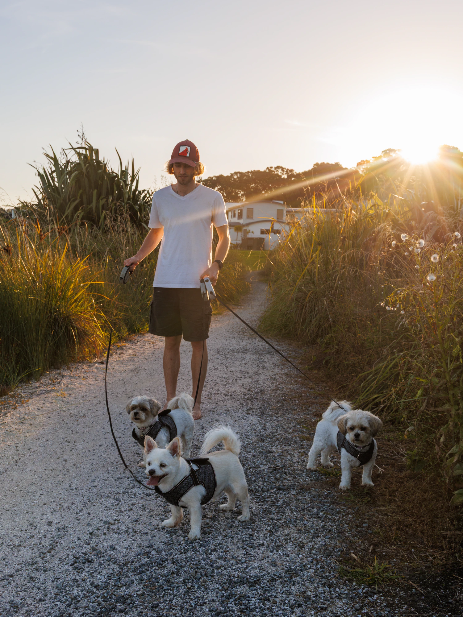 James walking dogs down on the estuary